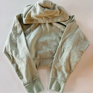 American Eagle AE Hoodie in Sage Green